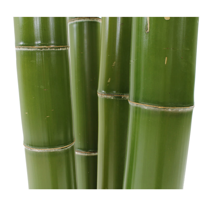 Serious 9' Bamboo Planter | El Dorado Furniture