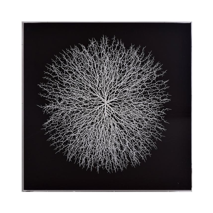 Clear Sea Fan Shadow Box  alternate image, 4 of 6 images.
