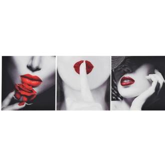 Rouge II Set of 3 Acrylic Wall Art
