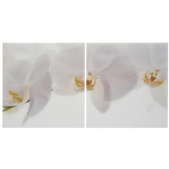 Orchidee White Set of 2 Acrylic Wall Art