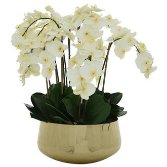 Eila Flower Arrangement