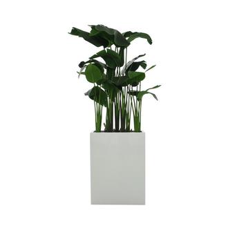 Kalei Planter