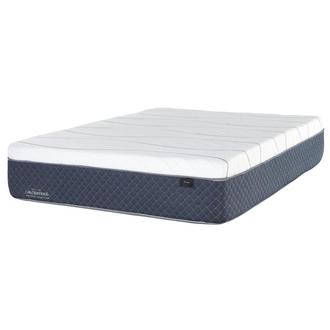 BedGear X Basic Mattress Protector - Mattress World Northwest