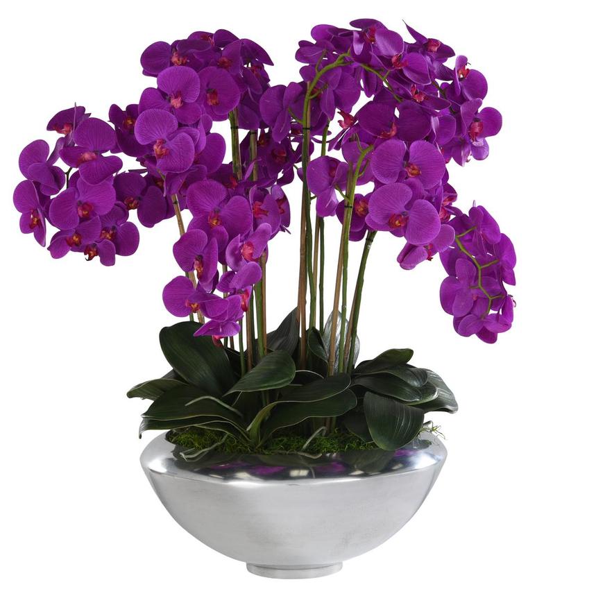 Jericho Purple Flower Arrangement