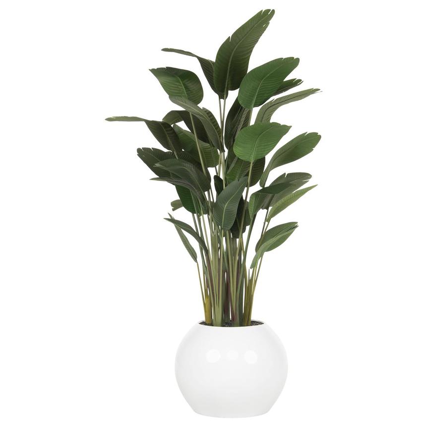 Zaya Planter main image, 1 of 5 images.