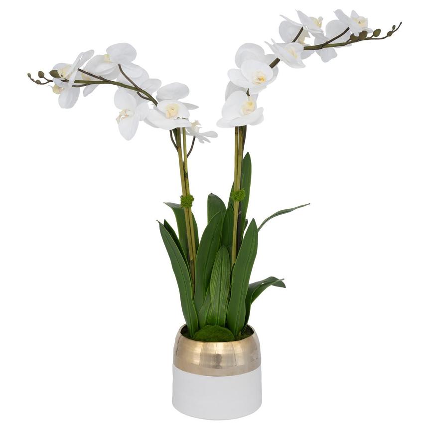 Asli Flower Arrangement  main image, 1 of 5 images.