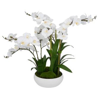 Dilara Flower Arrangement