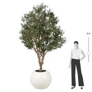 Antakya White Planter  alternate image, 7 of 7 images.