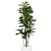 Neriah Planter  alternate image, 2 of 5 images.