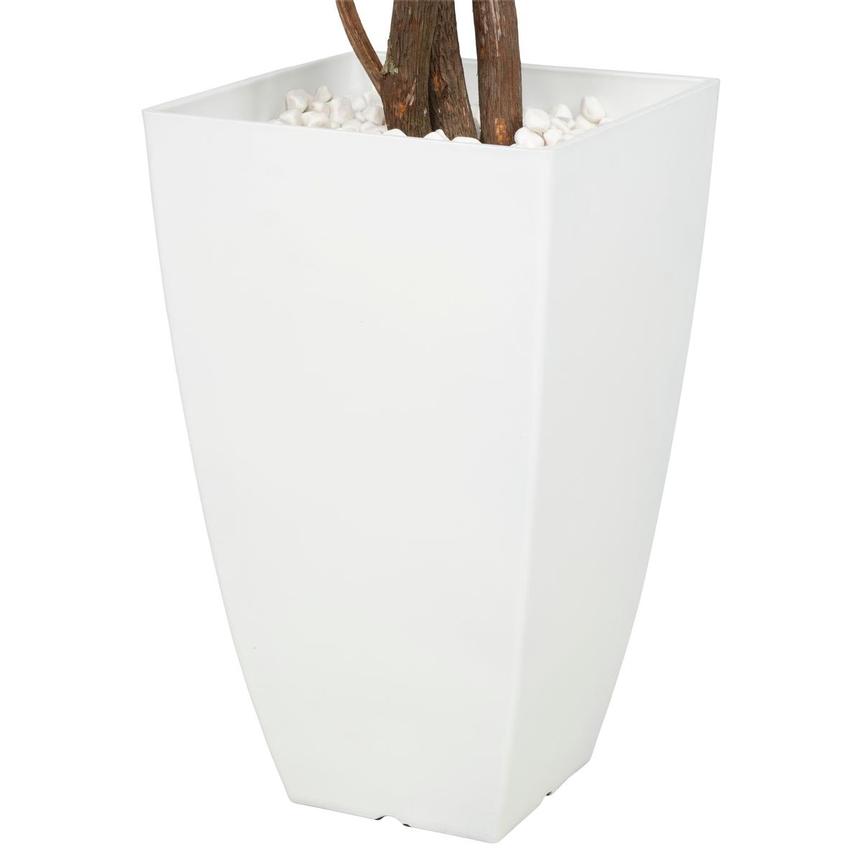 Maacah Planter  alternate image, 4 of 6 images.