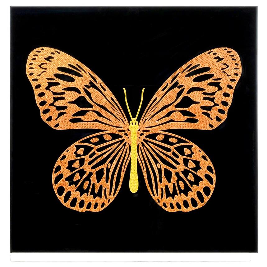 Monarch Grace Acrylic Wall Art  main image, 1 of 4 images.