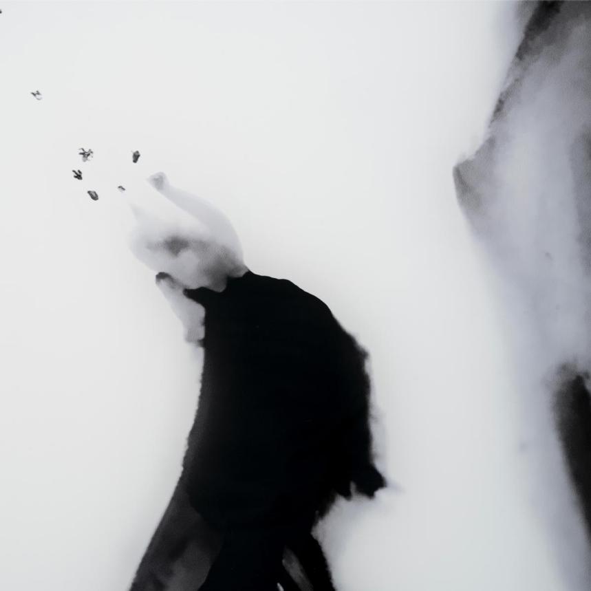 Ink Dance Acrylic Wall Art  alternate image, 3 of 5 images.