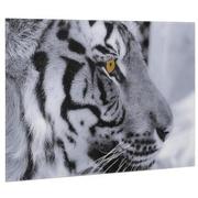 Stealth And Strength Acrylic Wall Art  alternate image, 2 of 5 images.