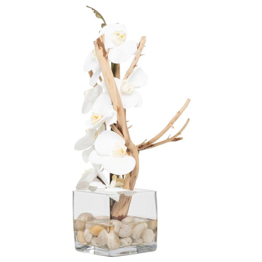 Agatha Plant  main image, 1 of 6 images.