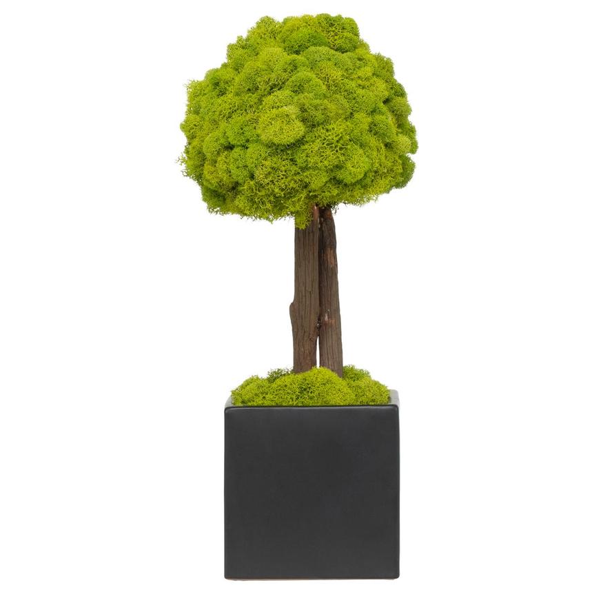 Bazily Plants Decor  alternate image, 3 of 6 images.