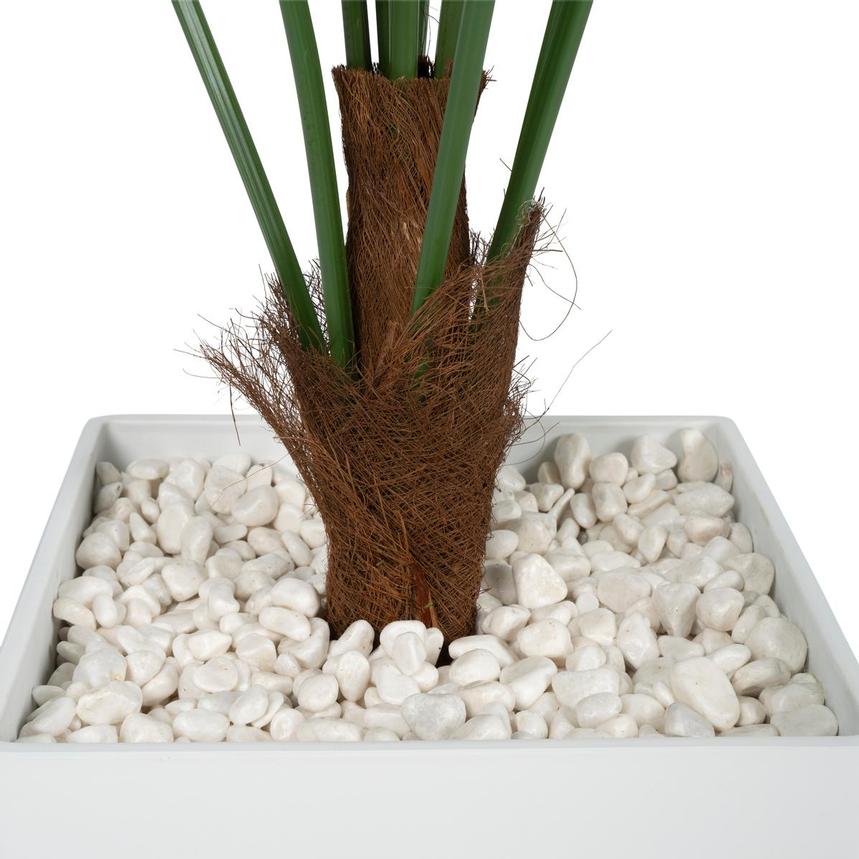 Macha Plant  alternate image, 3 of 5 images.