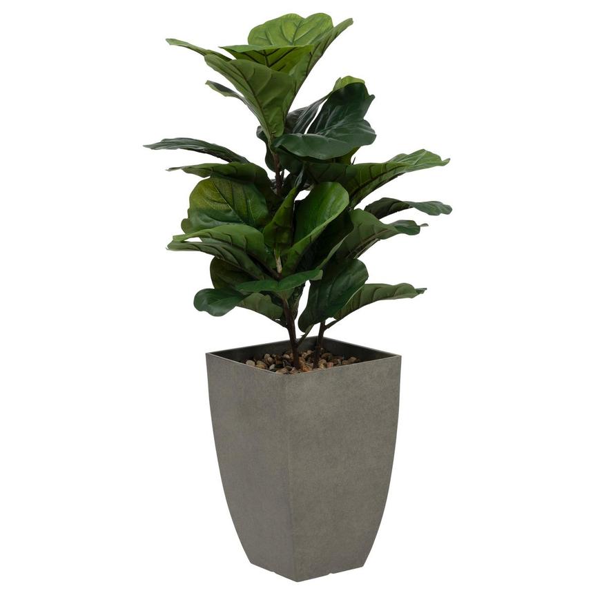 Zuzanna Plant  main image, 1 of 5 images.