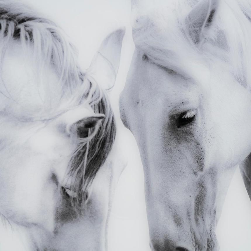 Graceful Bond Wall Art  alternate image, 3 of 4 images.