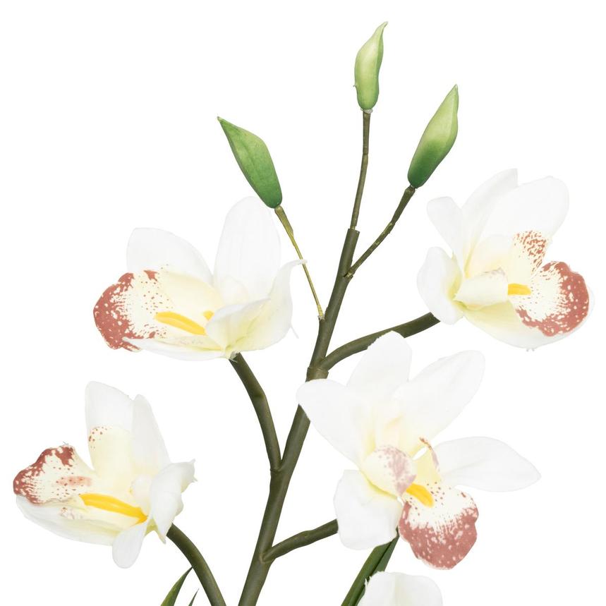 Savannah Noir Flower Arrangement  alternate image, 11 of 14 images.