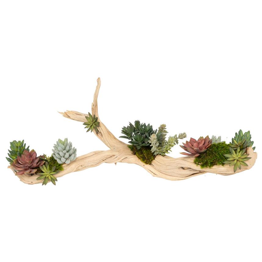 Kutuk Plant  main image, 1 of 9 images.