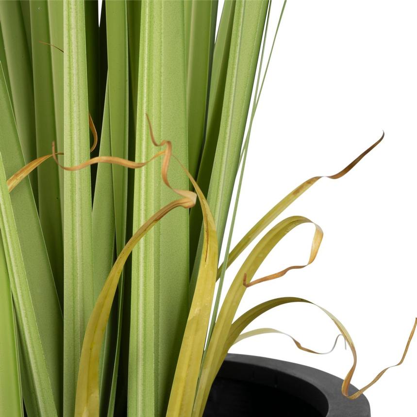 Bonaroo Planter  alternate image, 6 of 8 images.