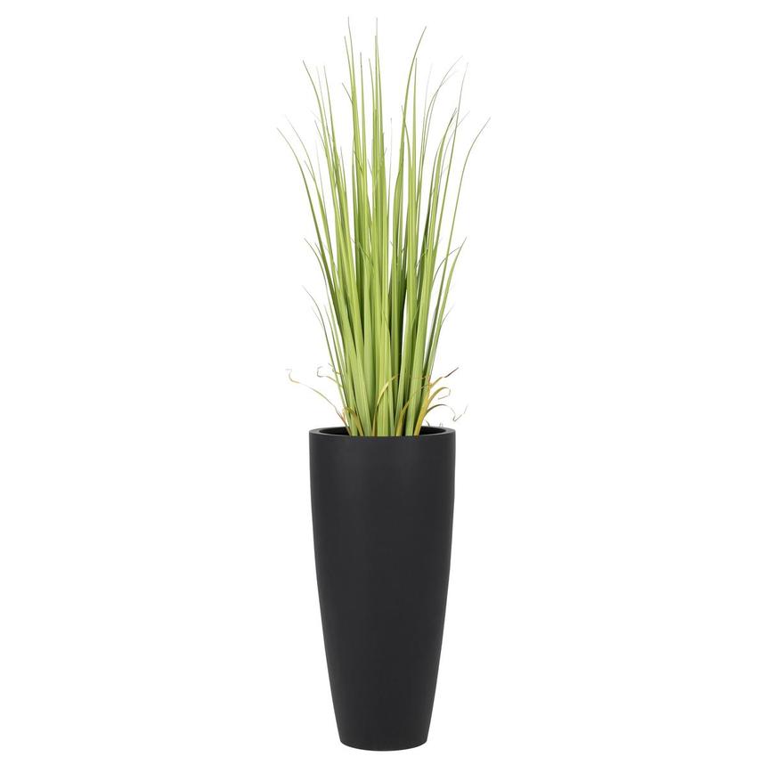 Bonaroo Planter main image, 1 of 8 images.
