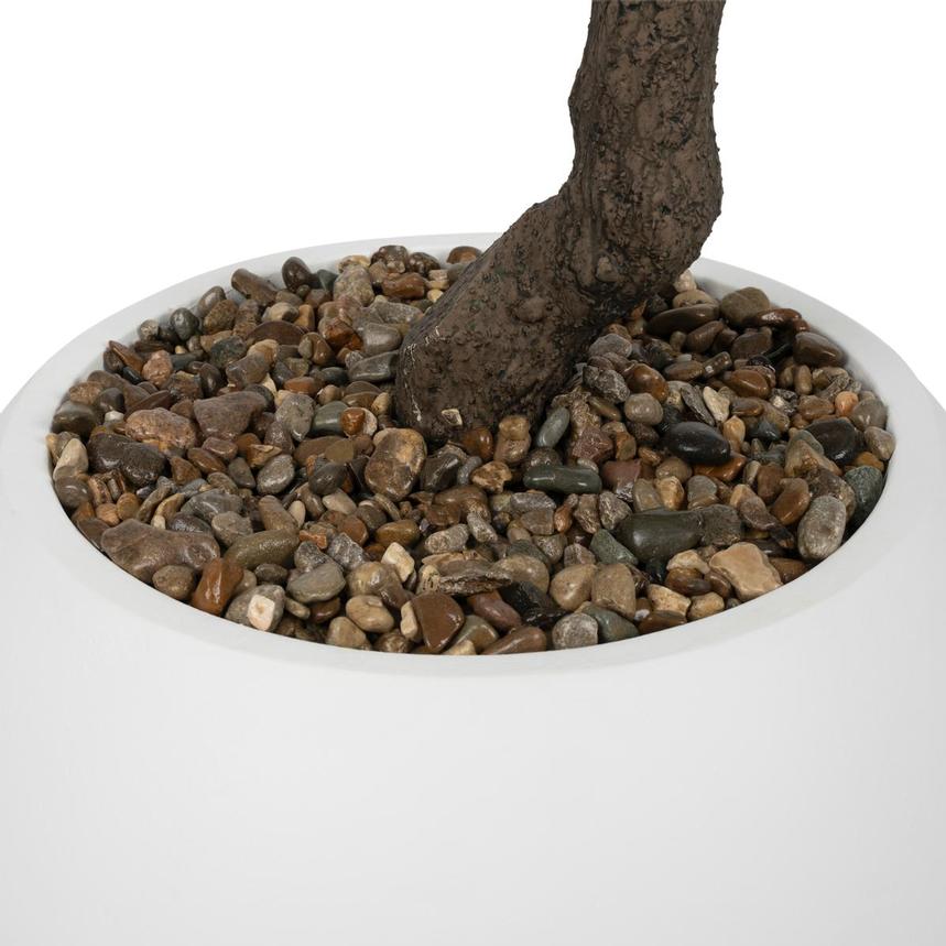 Alambigue Planter  alternate image, 4 of 6 images.
