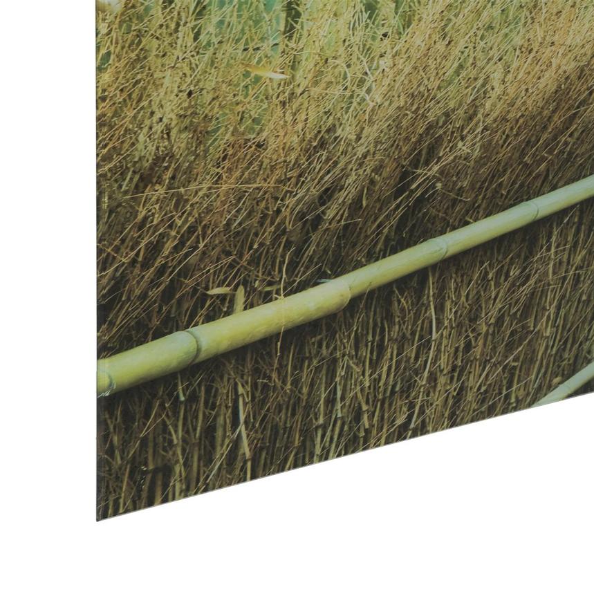 Bamboo Path Acrylic Wall Art alternate image, 4 of 6 images.