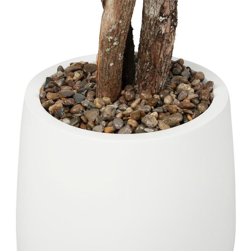 Ligia Planter alternate image, 4 of 9 images.
