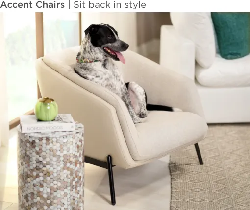Accent Chairs. Sit back in style.